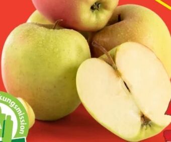 Hofer Äpfel berggolden Angebot