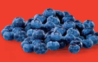 Hofer Heidelbeeren Angebot