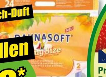 Norma Toilettenpapier Angebot