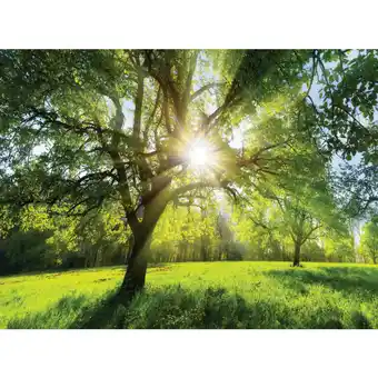 XXXLutz Keilrahmenbild 135/100 cm Angebot