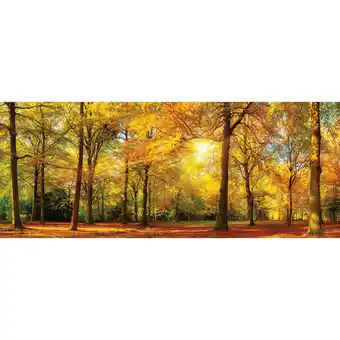 XXXLutz Glasbild 50/125 cm Angebot