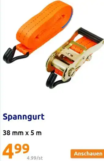 Action Spanngurt 38 mm x 5 m Angebot