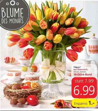 Spar Tulpen aus Österreich 18- Stück- Bund Angebot