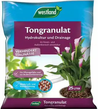 OBI Westland tongranulat blähton 25 l Angebot