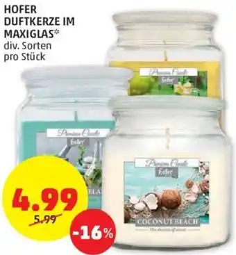 PENNY Hofer Duftkerze Im Maxiglas pro Stk. Angebot
