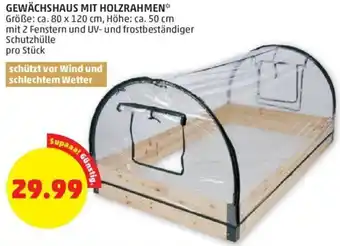 PENNY Gewächshaus mit Holzrahmen pro Stk. Angebot