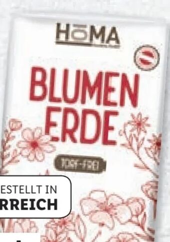 Lidl Blumenerde Angebot