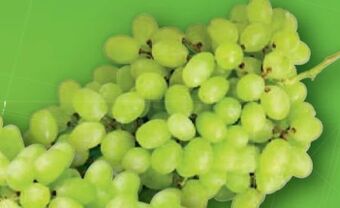 Lidl Trauben Angebot