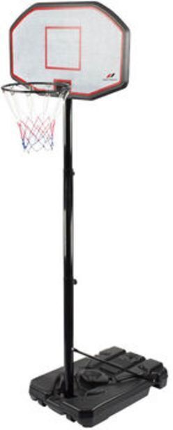 Intersport Pro touch · harlem 3000 basketballanlage Angebot