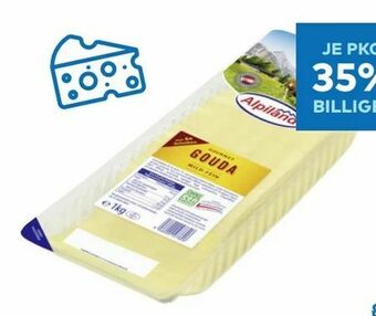 T&G Gouda Angebot