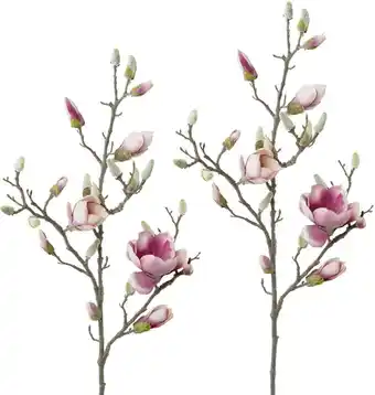 Mömax Dekozweig-set magnolie, 2er set Angebot