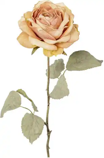 Mömax Kunstpflanze rose i in altrosa Angebot
