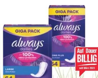 Maximarkt Slipeinlagen Angebot