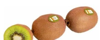 Transgourmet Bio kiwi Angebot