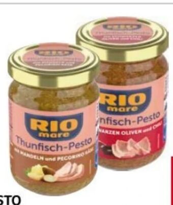 Transgourmet Thunfisch pesto Angebot