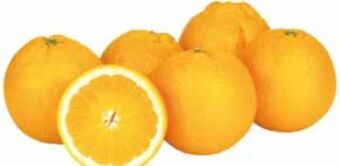 Transgourmet Bio orangen Angebot