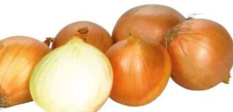 Transgourmet Zwiebel Angebot