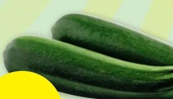 PENNY Zucchini Angebot