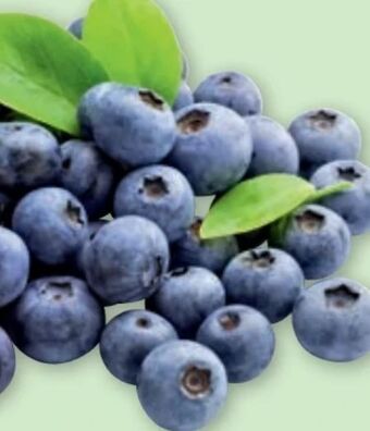 PENNY Heidelbeeren Angebot
