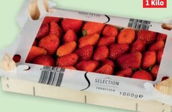 PENNY Premium erdbeeren Angebot