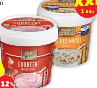PENNY Fruchtjoghurt Angebot