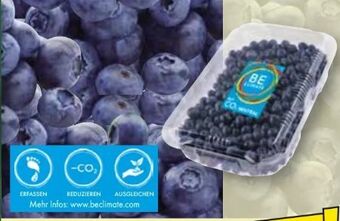 Norma Premium heidelbeeren Angebot