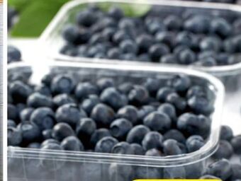 Spar Heidelbeeren Angebot