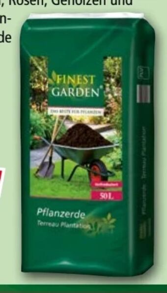 Norma Pflanzerde Angebot