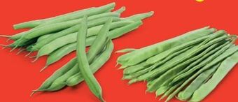 Hofer Bohnen Angebot