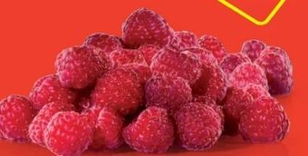 Hofer Himbeeren Angebot