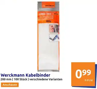 Action Werckmann Kabelbinder 200 mm| 100 Stk. Angebot