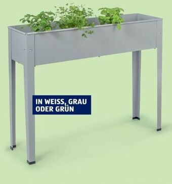 Hofer Hochbeet Angebot