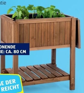 Hofer Hochbeet cube 1 Angebot