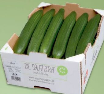 Metro Gurken Angebot