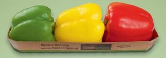 Metro Paprika tricolore Angebot