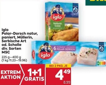 Billa Iglo Polar-Dorsch natur, paniert, Müllerin, Serbische Art od. Scholle div. Sorten MSC 225g-400g Angebot