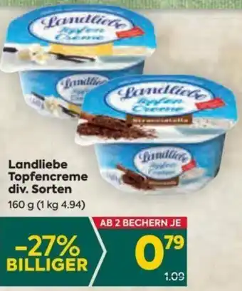Billa Landliebe Topfencreme div. Sorten 160 g Angebot