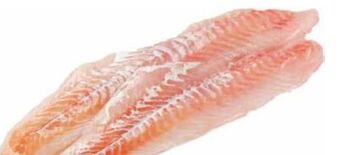 Transgourmet Kabeljaufilet Angebot