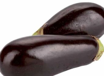 Transgourmet Melanzani Angebot