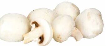 Transgourmet Champignons Angebot