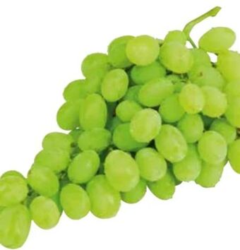Transgourmet Trauben Angebot