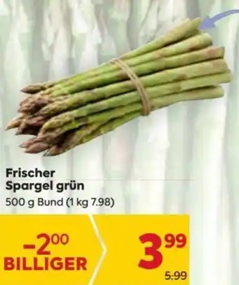 Billa Frischer Spargel Grün 500 g Angebot