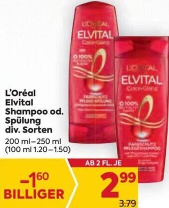 Billa L'Oréal Elvital Shampoo od. Spülung div. Sorten 200 ml-250 ml Angebot