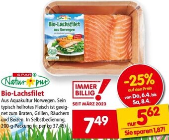 Interspar Bio-Lachsfilet Angebot