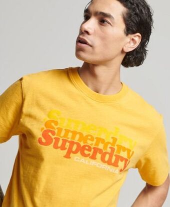 Superdry Vintage cali stripe t-shirt Angebot