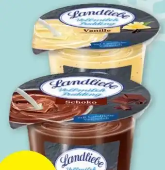 PENNY Vollmilch pudding Angebot
