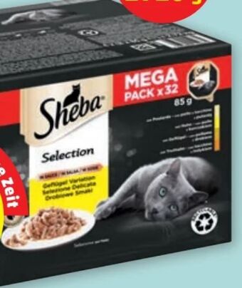 PENNY Selection Angebot