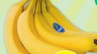 PENNY Bananen Angebot