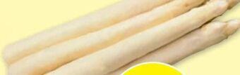 PENNY Spargel Angebot