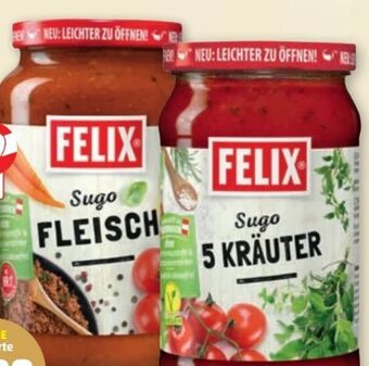 PENNY Sugo Angebot